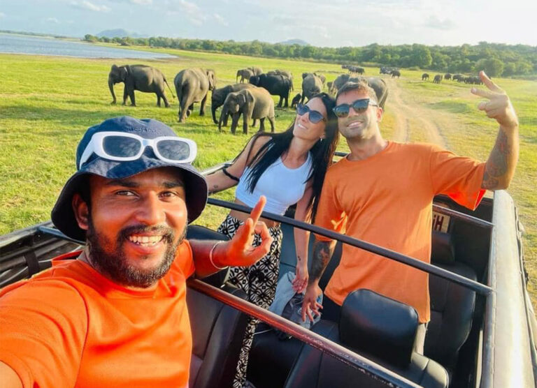 Minneriya Safari Tours