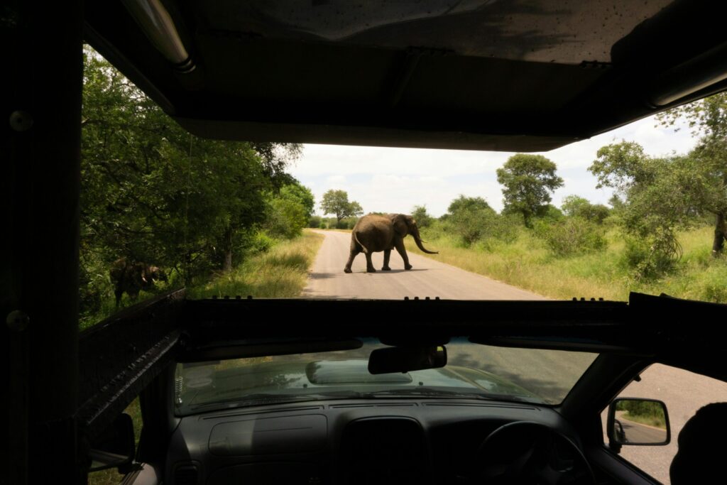 5 Mistakes to Avoid on Your Sri Lanka Wildlife Safari (2026 Guide)